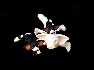 Mini Oriental Shorthair Cat *Personal Use*