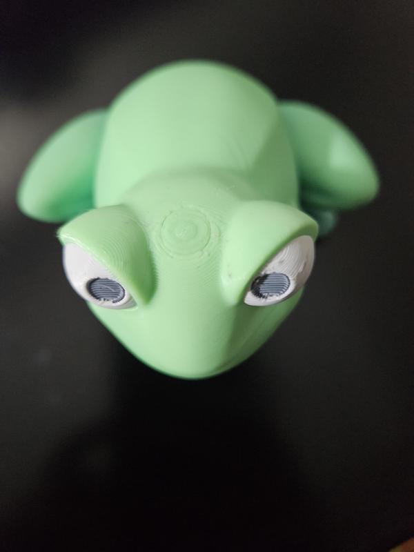 Desk Buddy Frog - magnet custom hats