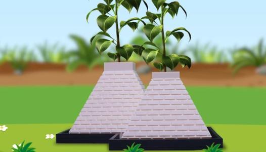 Pyramid Planter