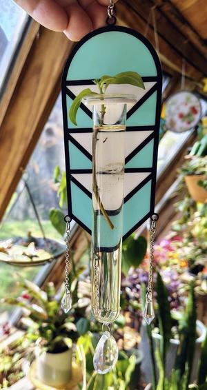Hanging Plant Propagation Station 