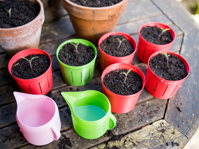 Simple, Fast and minimalistic Plant Pot (Vasemode)