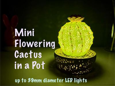 Mini Cactus Lamp