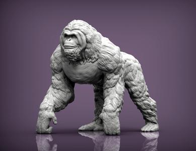 Orangutan