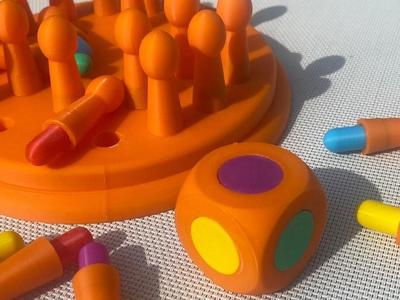Montessori Memory Game