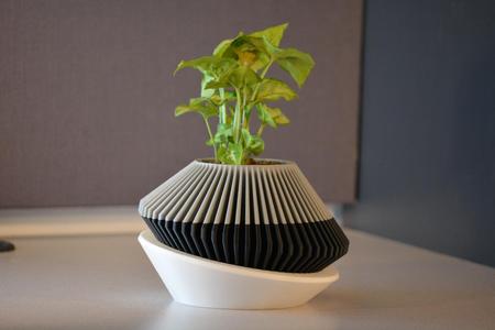 Modern Planter 001