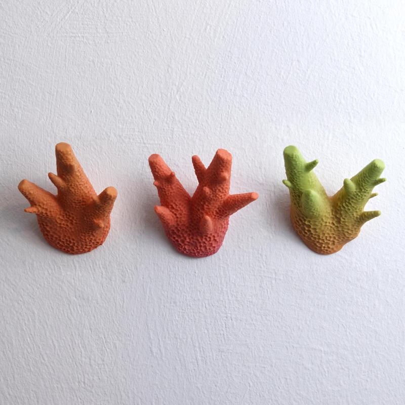 Wall coat hook “caliendrum coral”