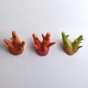 Wall coat hook “caliendrum coral”
