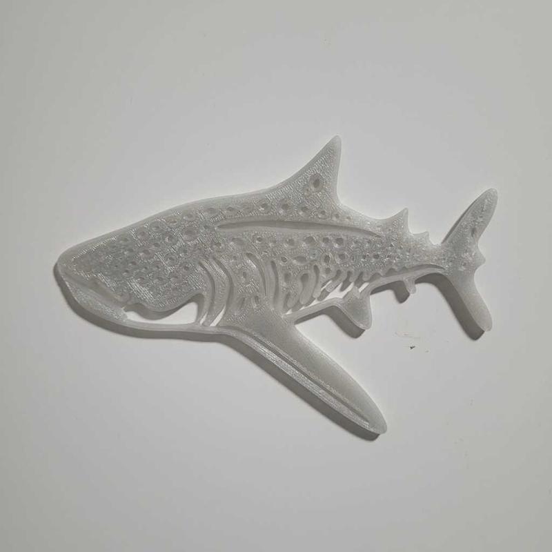Whaleshark wall art