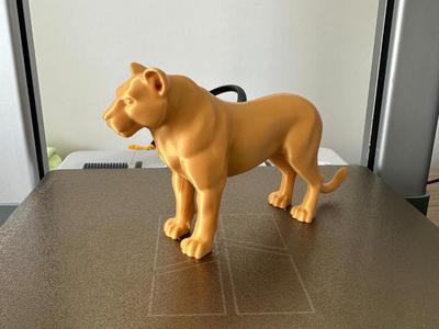 Lioness