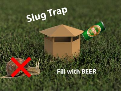 Slug Trap - Fill with BEER