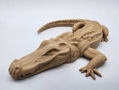 Alligator - No Supports