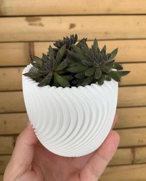 Pleated Planter