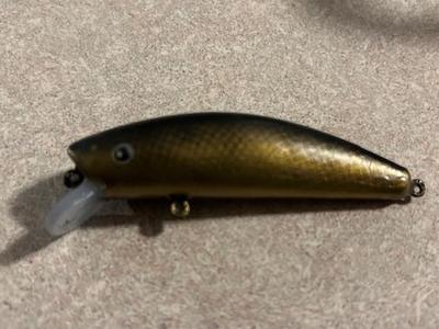 Floating lure 2.75"