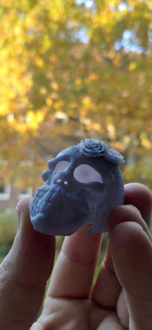 Flower Skull Art 🌸🌼🌺