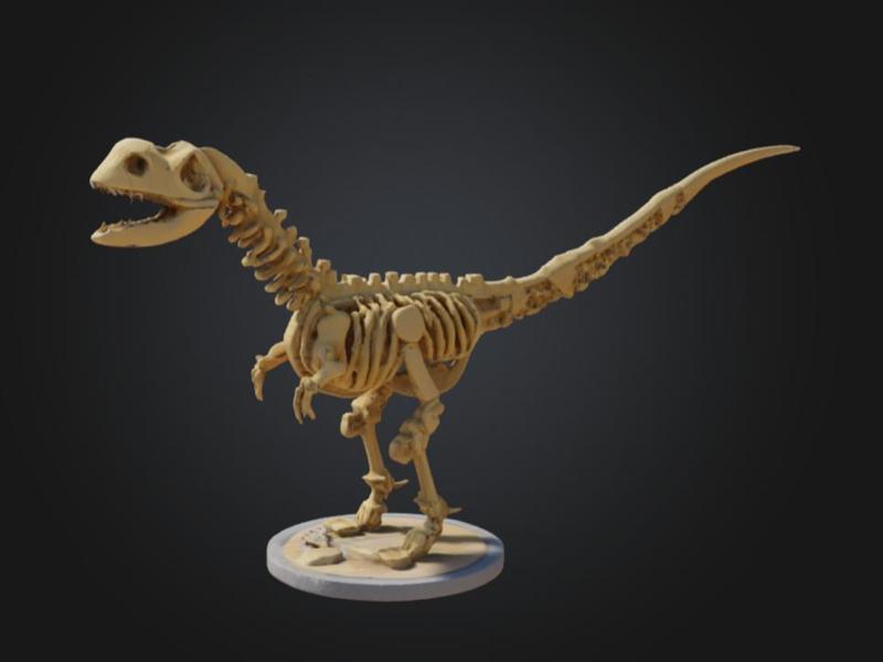 Dinosaur Skeleton Model – T-Rex Inspired Fossil 