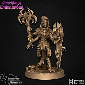 Arachlayn Infiltrator D