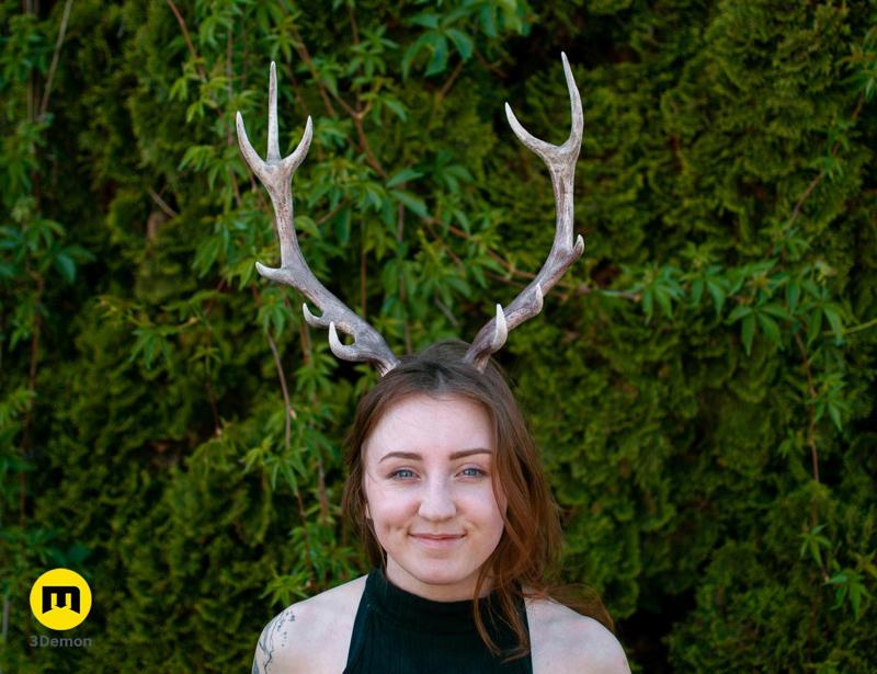 Red Deer antlers