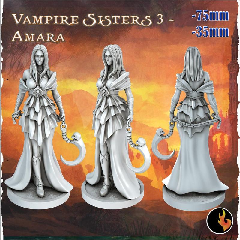 Amara - Dark Fantasy Minis - 75mm + 35mm Scale