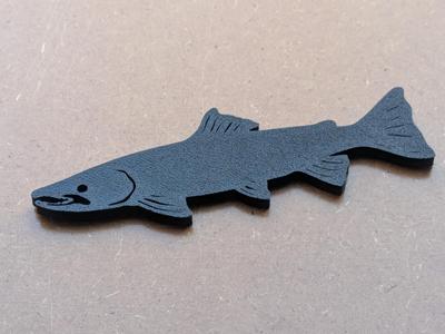 Salmon fish model 2d