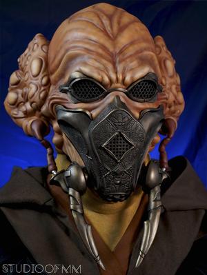 The Plo Koon head