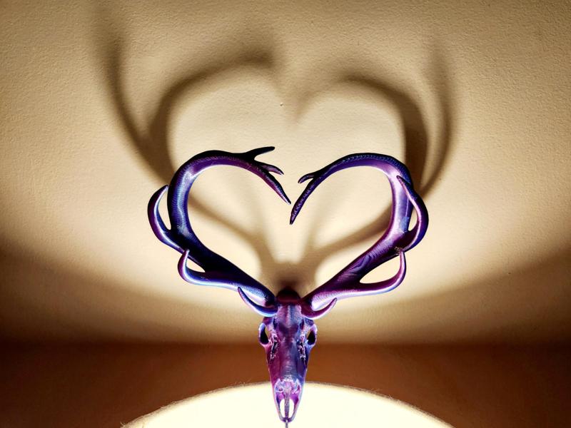 "Love" Elk Edition Skull