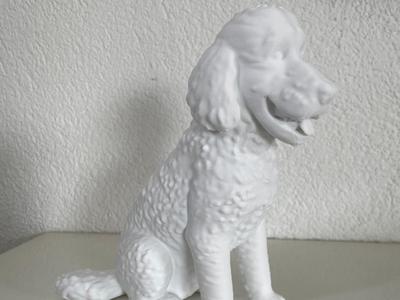 Sitting Poodle
