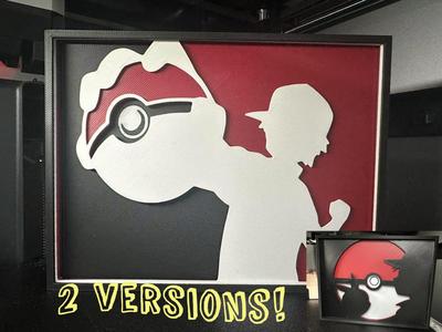 Pokémon Shadowbox