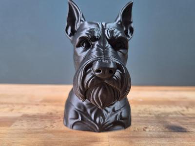 Schnauzer with cropped ears Bust