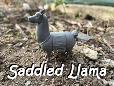 Saddled Llama