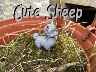 Cute sheep