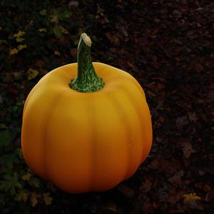 Ryan King Pumpkin