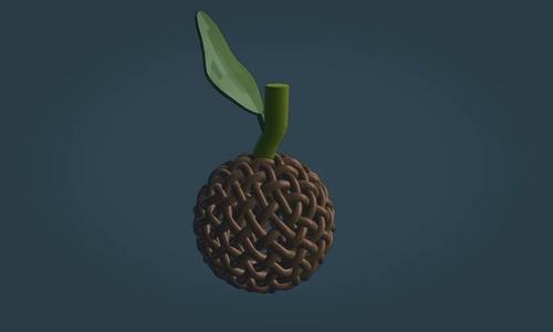 Braided Fruit