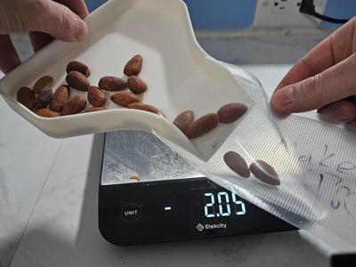 Bag Funnel Tray