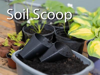 Bonsai Soil Scoop