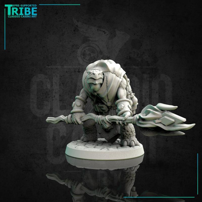 (0166) Male turtle wizard with a magic staff
