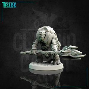 (0166) Male turtle wizard with a magic staff