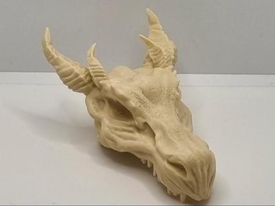Detailed Dragon Skull