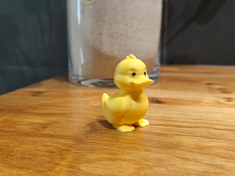 Cute Little Duckling