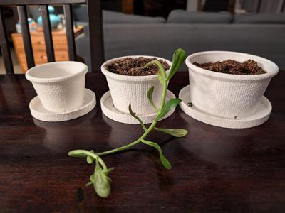 Basic Planter