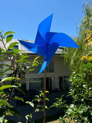 Pinwheel