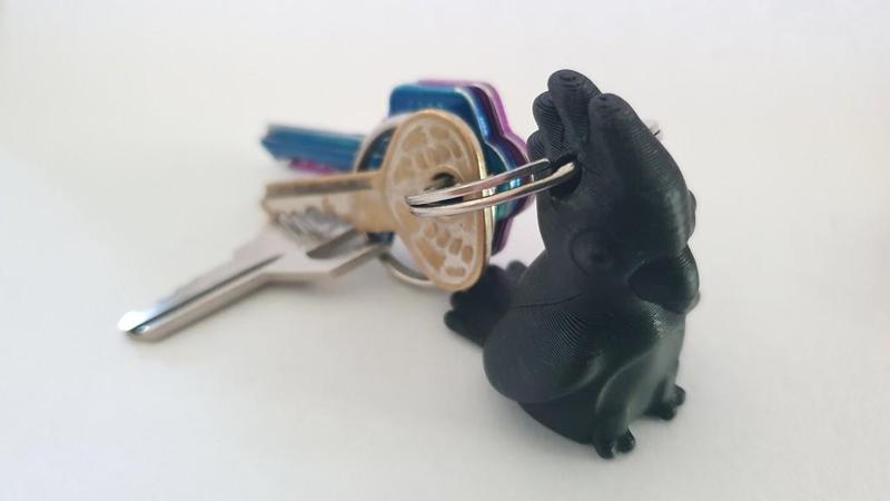 Cockatoo key fob