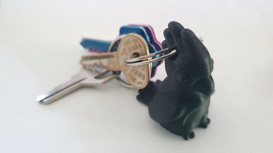 Cockatoo key fob