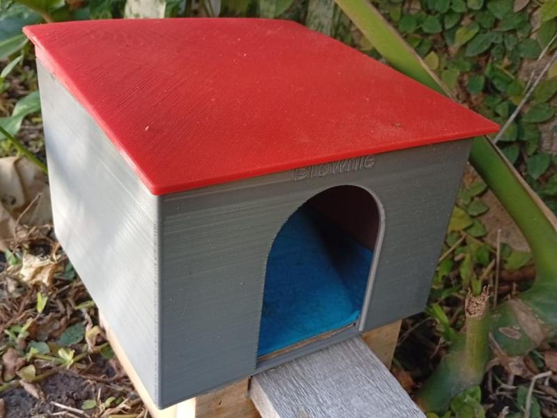 Guinea Pig House