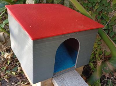 Guinea Pig House