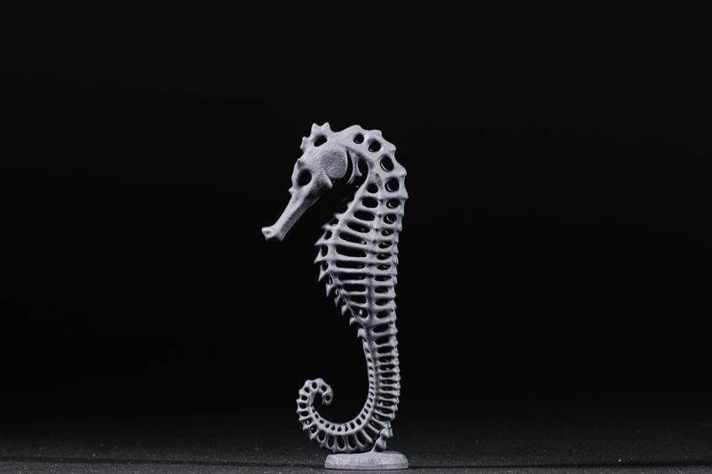 Seahorse Exoskeleton with Base