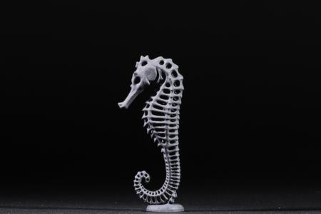 Seahorse Exoskeleton with Base