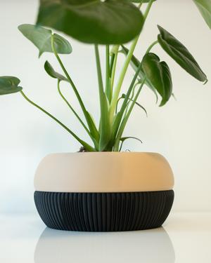 MERIDIAN Pot 001