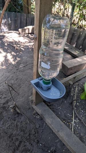 Chicken Water Dispenser (easy removing system)
