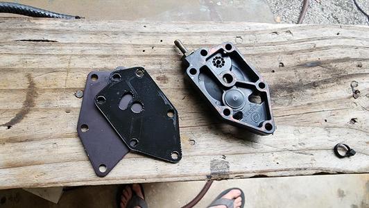 EVINRUDE FUEL PUMP GASKET 