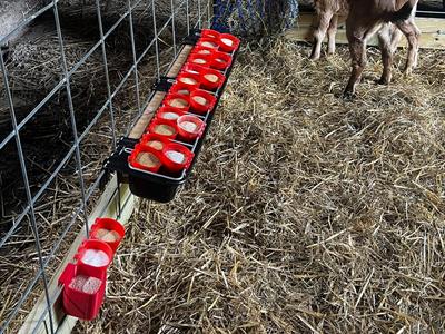 Goat/Livestock Mineral Feeder Cup 